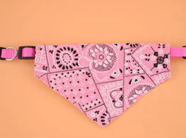 Retractable Triangle Scarf Collar for Pets