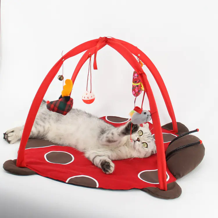 Cat Play Bed and Exercise Game Tent