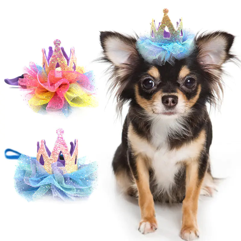 Pet Birthday Hat with Lace Crown for Dogs and Cats