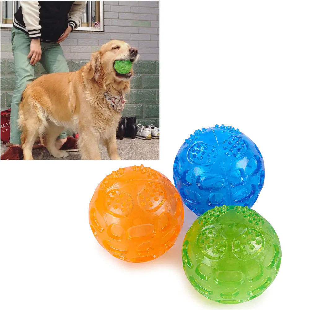Bite-Resistant Molar Chew Toys